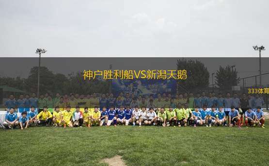 神戶勝利船VS新潟天鵝